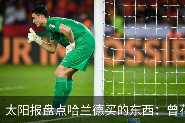 太阳报盘点哈兰德买的东西：曾花10万镑买古籍；豪购玩偶